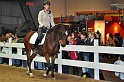 Pferd u Jagd   085